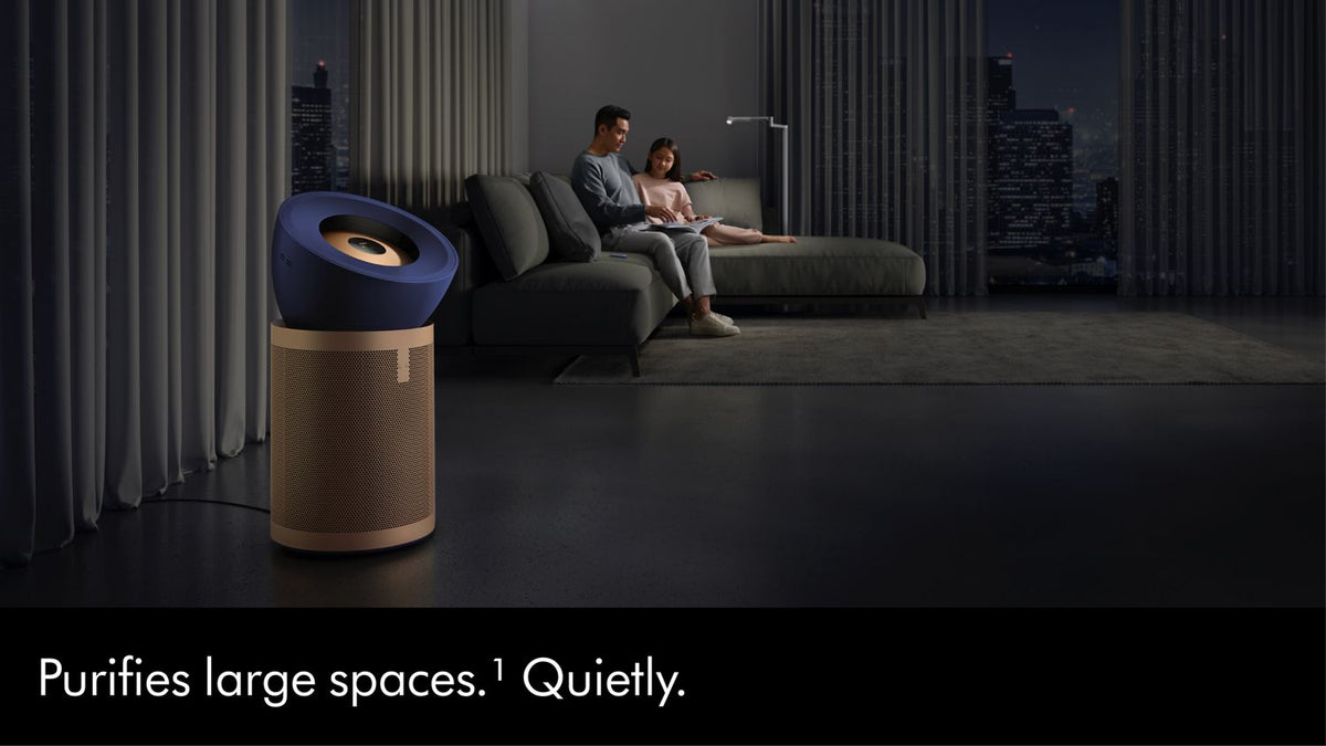 Dyson BP04 purifier feature 1