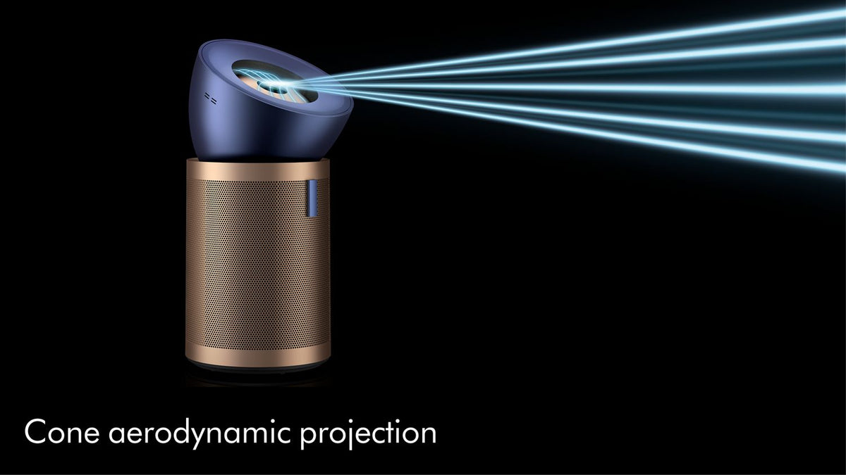 Dyson BP04 purifier feature 4