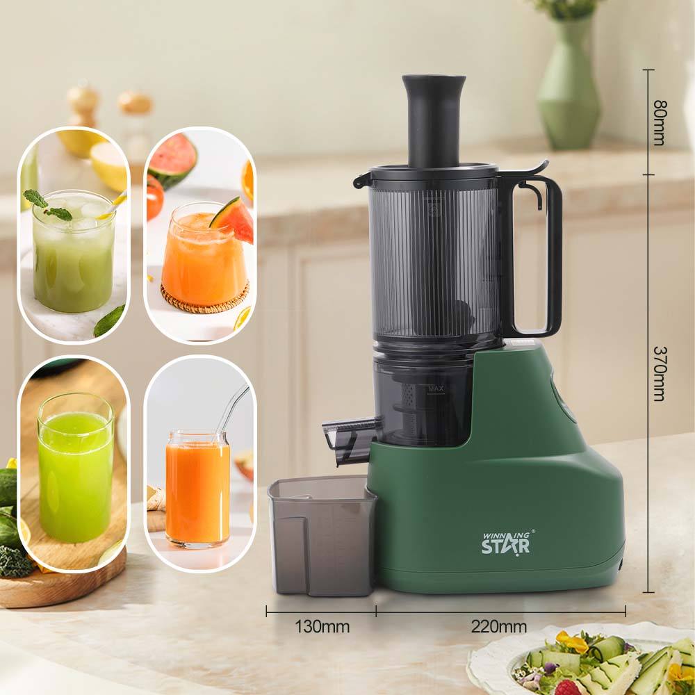 عصارة على البارد للفواكه وينينج ستار 300 مللي 200 واط Winning Star Fruit Juice Extractor