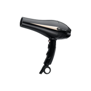 Green Lion Professional Hair Dryer 2000w Black