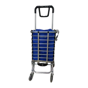 Green Lion Foldable Shopping Trolley Silver