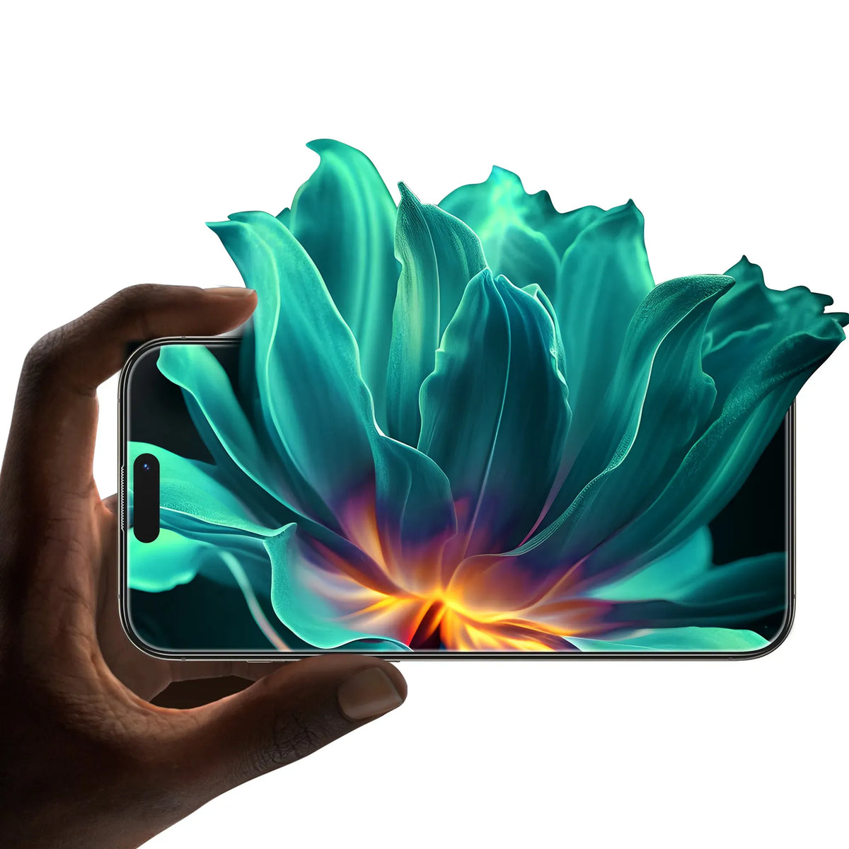 Green Lion Albert ARScreen Protector - Clear – image 8